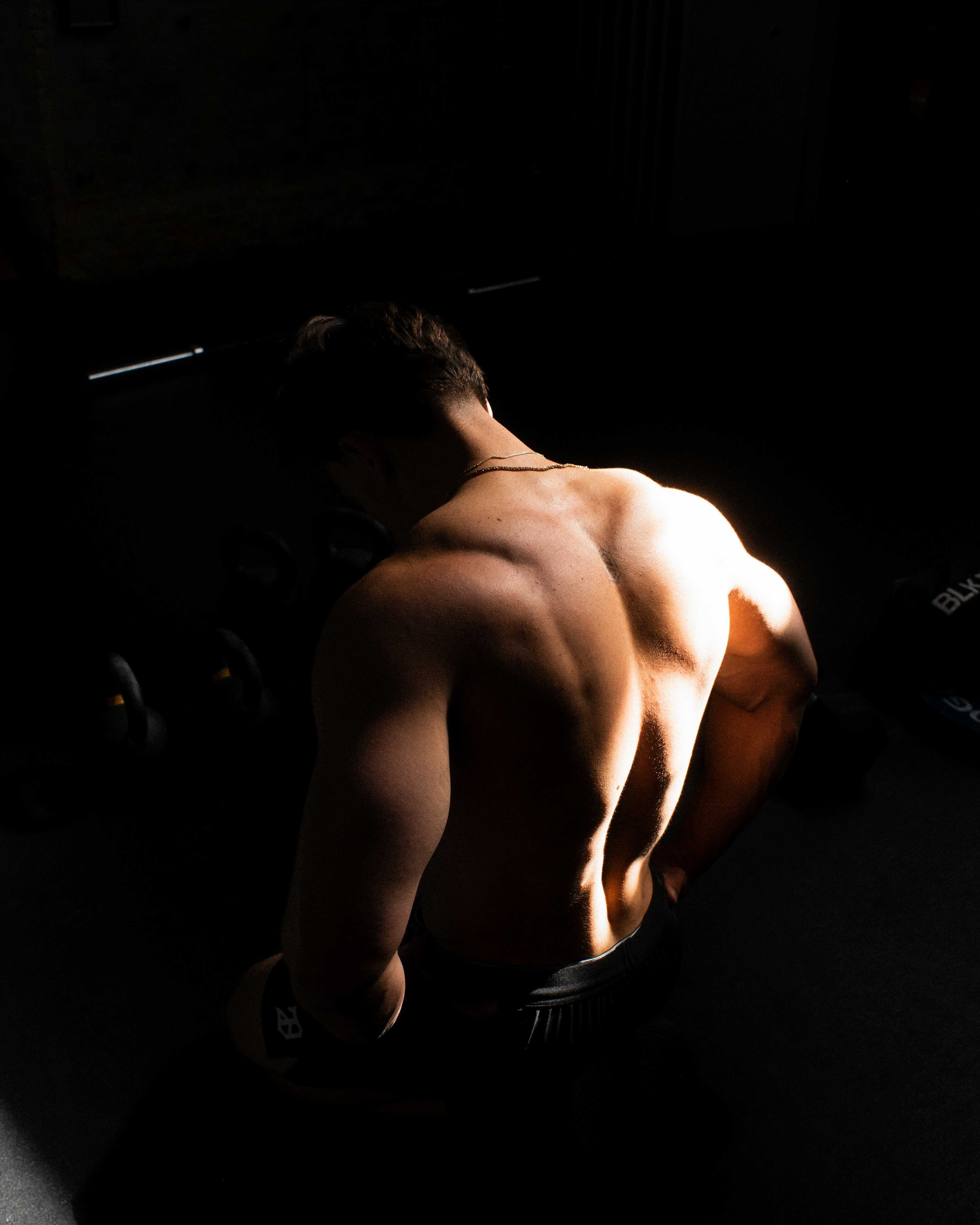 Beginner Gains